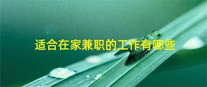 适合在家兼职的工作有哪些