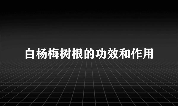 白杨梅树根的功效和作用