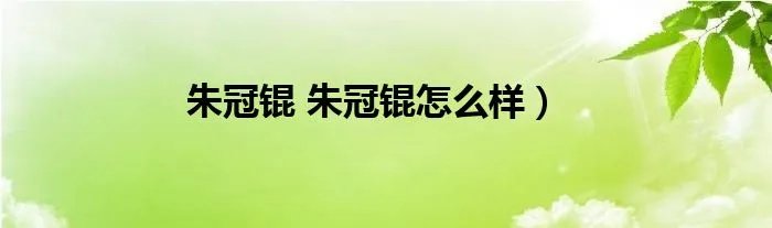 朱冠锟 朱冠锟怎么样）