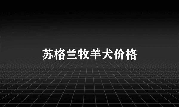 苏格兰牧羊犬价格