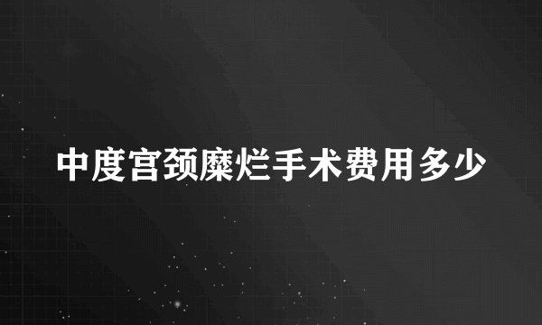 中度宫颈糜烂手术费用多少