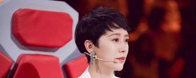 海清主演的电视剧有哪些