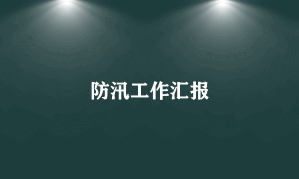 防汛工作汇报