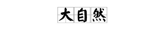 大自然的奥秘有哪些