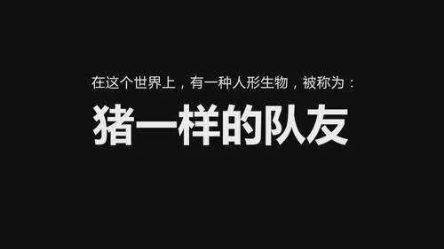 不怕神一样的对手,就怕猪一样的队友是什么意思?