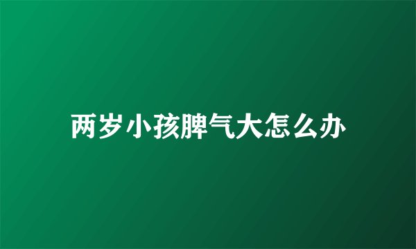 两岁小孩脾气大怎么办