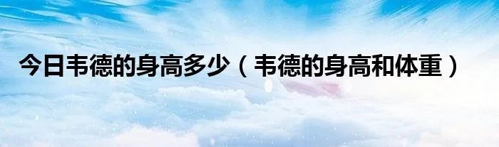 今日韦德的身高多少（韦德的身高和体重）