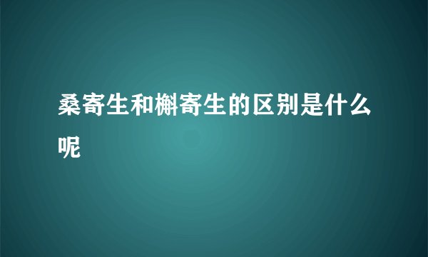 桑寄生和槲寄生的区别是什么呢