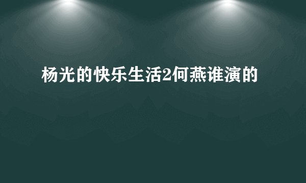 杨光的快乐生活2何燕谁演的