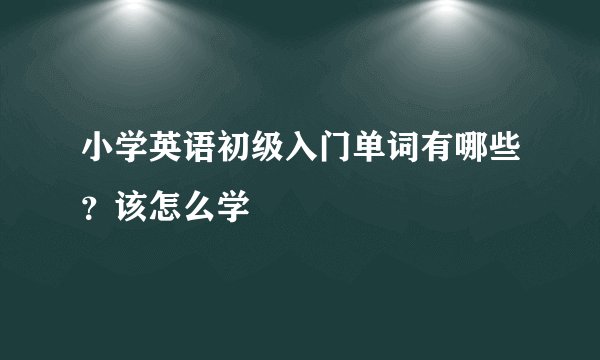 小学英语初级入门单词有哪些？该怎么学