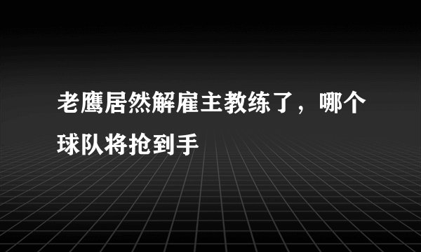 老鹰居然解雇主教练了，哪个球队将抢到手