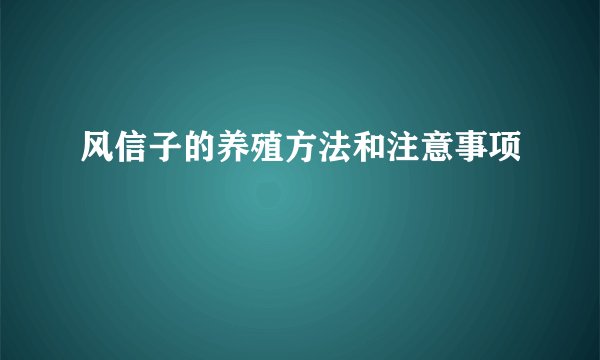 风信子的养殖方法和注意事项