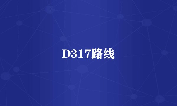 D317路线