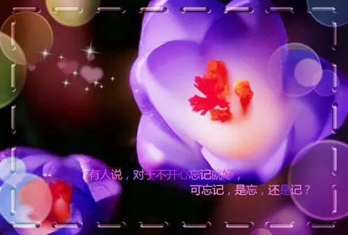 法师名字