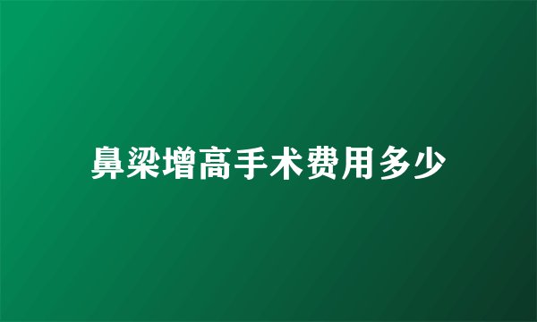 鼻梁增高手术费用多少
