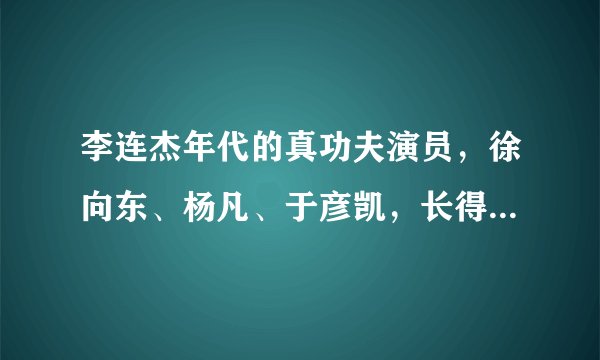 李连杰年代的真功夫演员,徐向东、杨凡、于彦凯,长得有多像?
