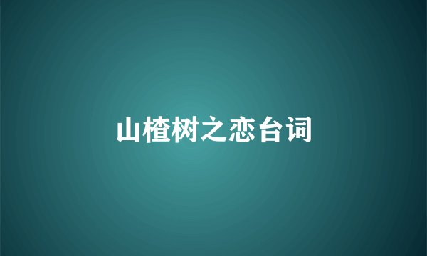 山楂树之恋台词