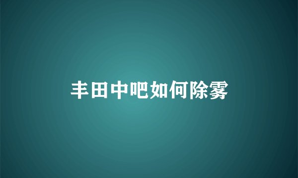 丰田中吧如何除雾