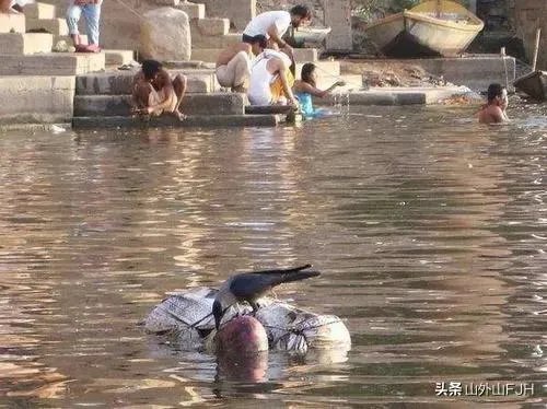印度恒河水葬，新冠尸体也不例外，河内的鱼能吃吗？