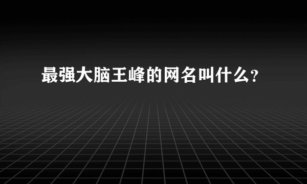 最强大脑王峰的网名叫什么？