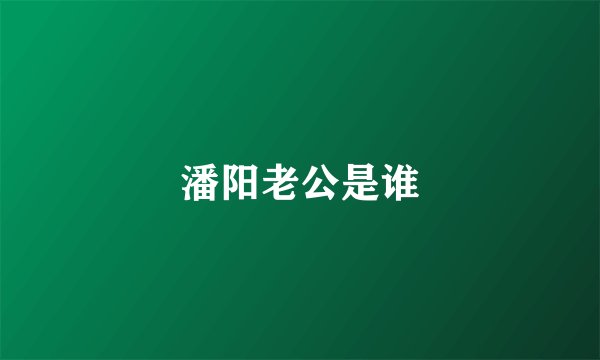 潘阳老公是谁
