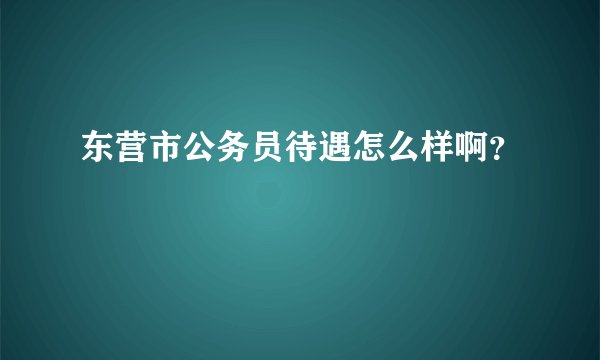 东营市公务员待遇怎么样啊？