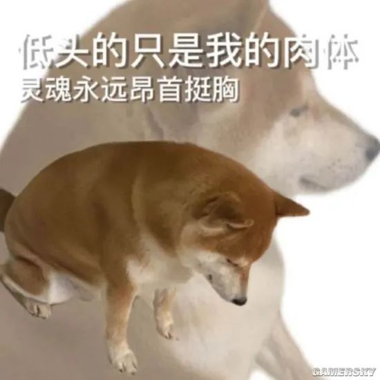韩国电视剧全是谁谁的女人 谁说女孩子不颜控的囧图