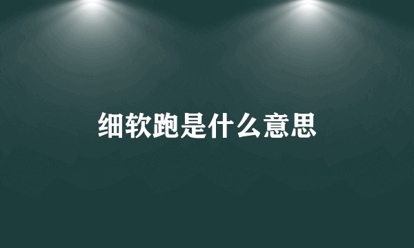 细软跑是什么意思