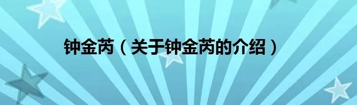 钟金芮（关于钟金芮的介绍）
