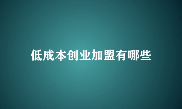 低成本创业加盟有哪些