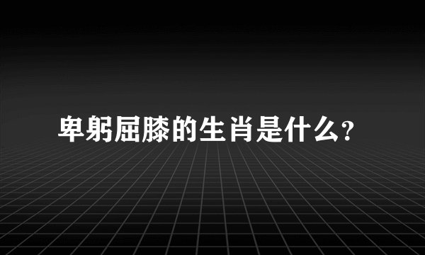 卑躬屈膝的生肖是什么?