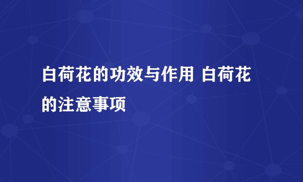 白荷花的功效与作用 白荷花的注意事项