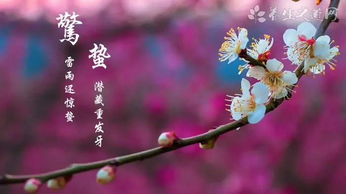 18年鼠的运势,属鼠人在2018年运势及运程如何