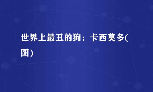 世界上最丑的狗:卡西莫多(图)