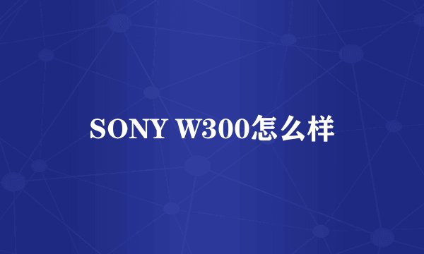 SONY W300怎么样