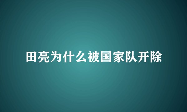田亮为什么被国家队开除