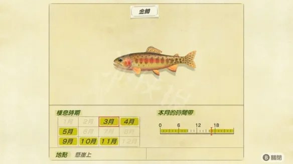 《集合啦动物森友会》金鳟怎么钓 金鳟钓法介绍