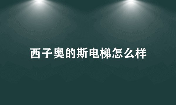 西子奥的斯电梯怎么样