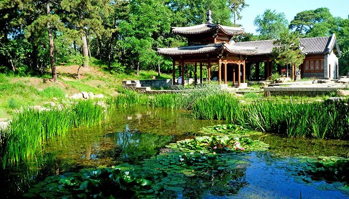 夏天带老人适合去哪里旅游国内  夏天带老人去哪里旅游合适