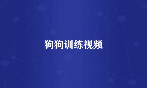 狗狗训练视频