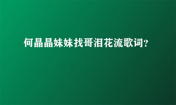 何晶晶妹妹找哥泪花流歌词？