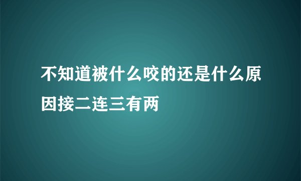 不知道被什么咬的还是什么原因接二连三有两