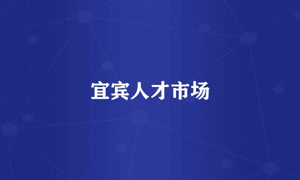 宜宾人才市场