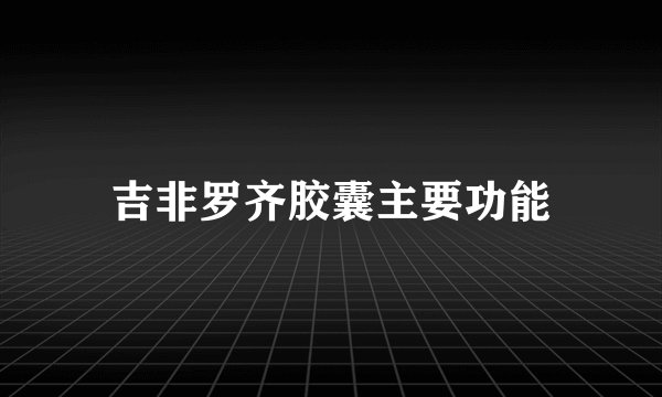 吉非罗齐胶囊主要功能