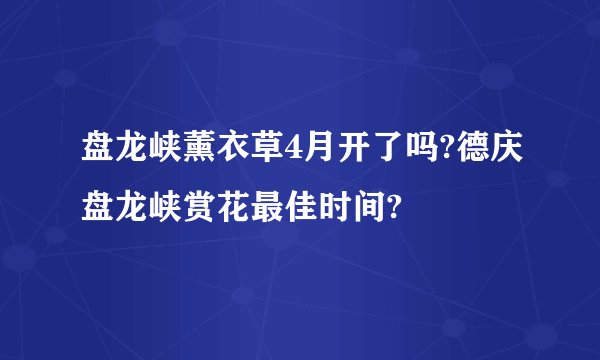 盘龙峡薰衣草4月开了吗?德庆盘龙峡赏花最佳时间?