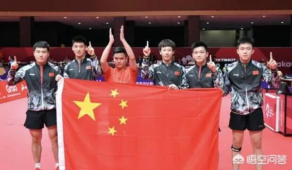 金泽洙评价中国男乒