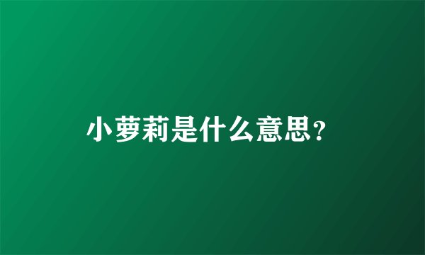 小萝莉是什么意思？