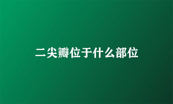 二尖瓣位于什么部位
