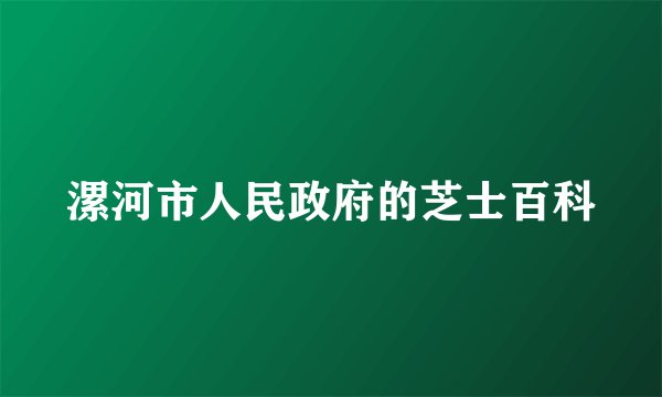 漯河市人民政府的芝士百科