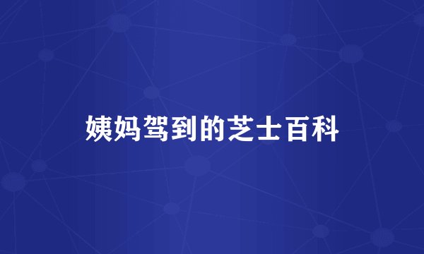姨妈驾到的芝士百科
